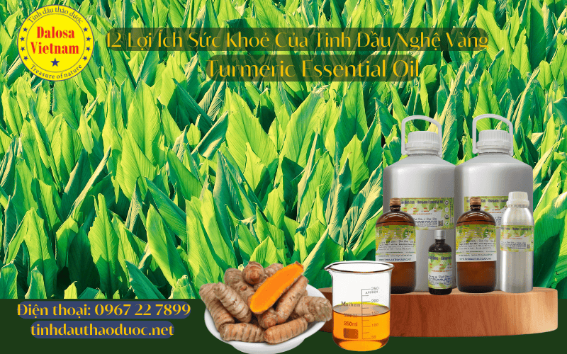 12-loi-ich-suc-khoe-cua-tinh-dau-nghe-vang-turmeric-essential-oil