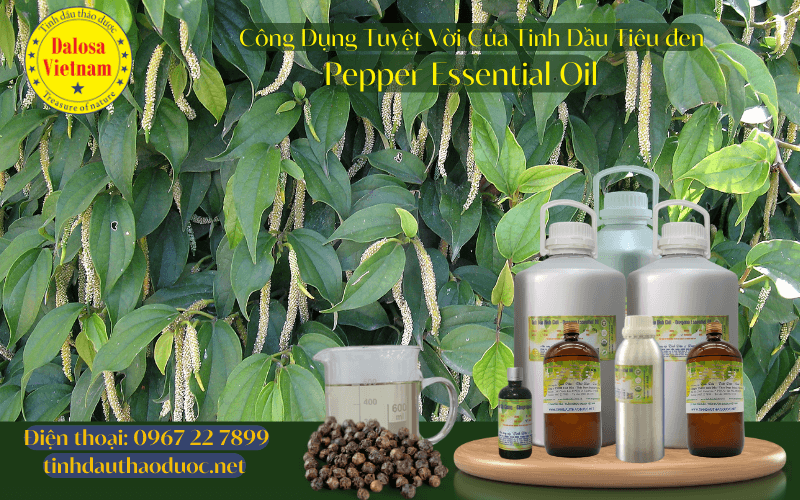 nhung-loi-ich-suc-khoe-cua-tinh-tieu-den-pepper-essential-oil