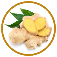 10 Lợi Ích Của Tinh Dầu Gừng - Ginger